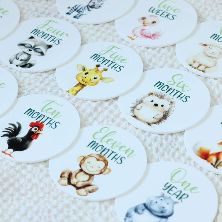 Little Critters Milestone Set