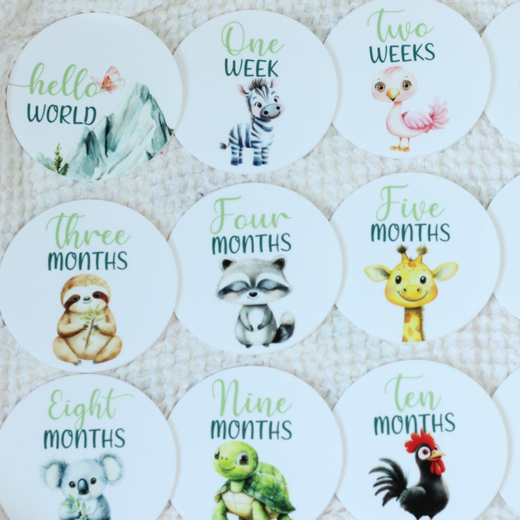 Little Critters Milestone Set